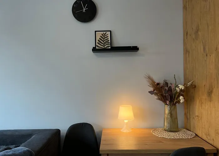 公寓 Atrakcyjne Mieszkanie 13 罗兹